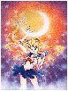 manga/moon/smoon06a.jpg